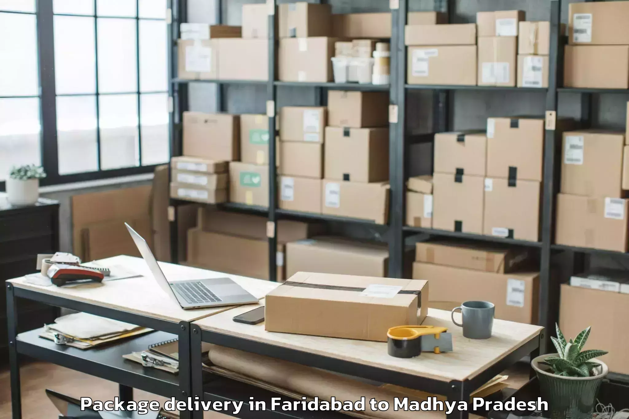 Easy Faridabad to Dhar Package Delivery Booking